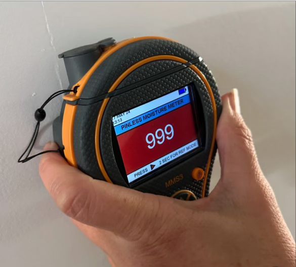 Mould and moisture assessment