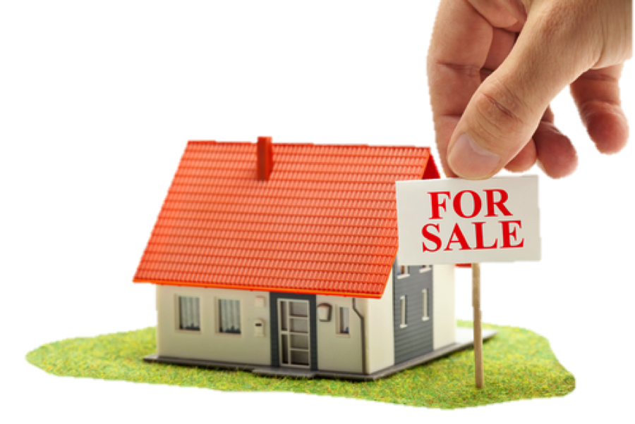 Pre-purchase property assessment